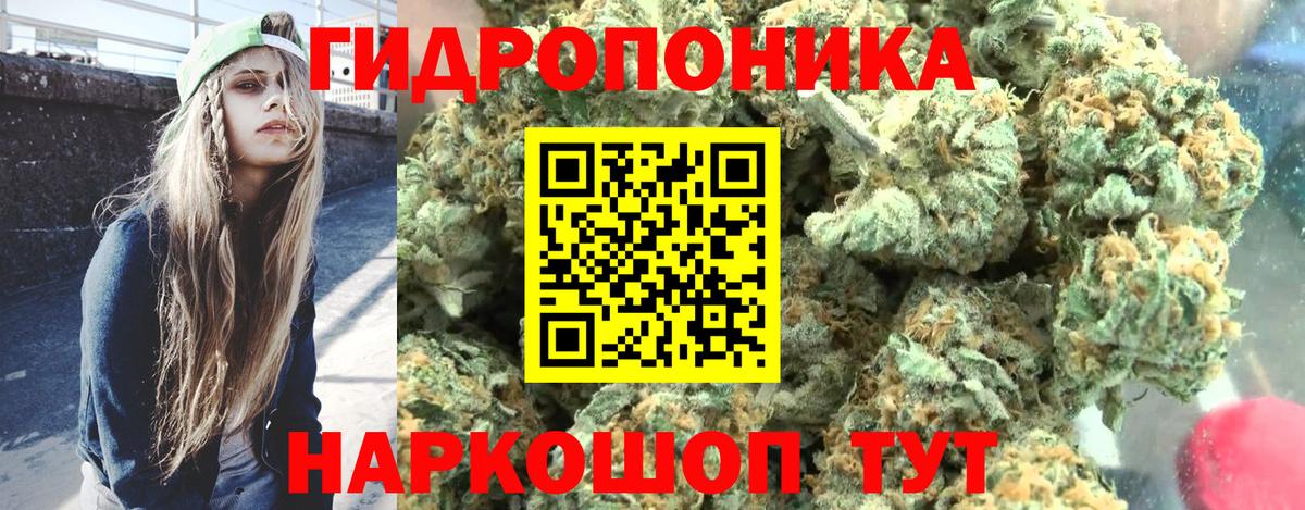 Шишки марихуана планчик  Каннабис конопля  Лангепас  Вход с VPN 